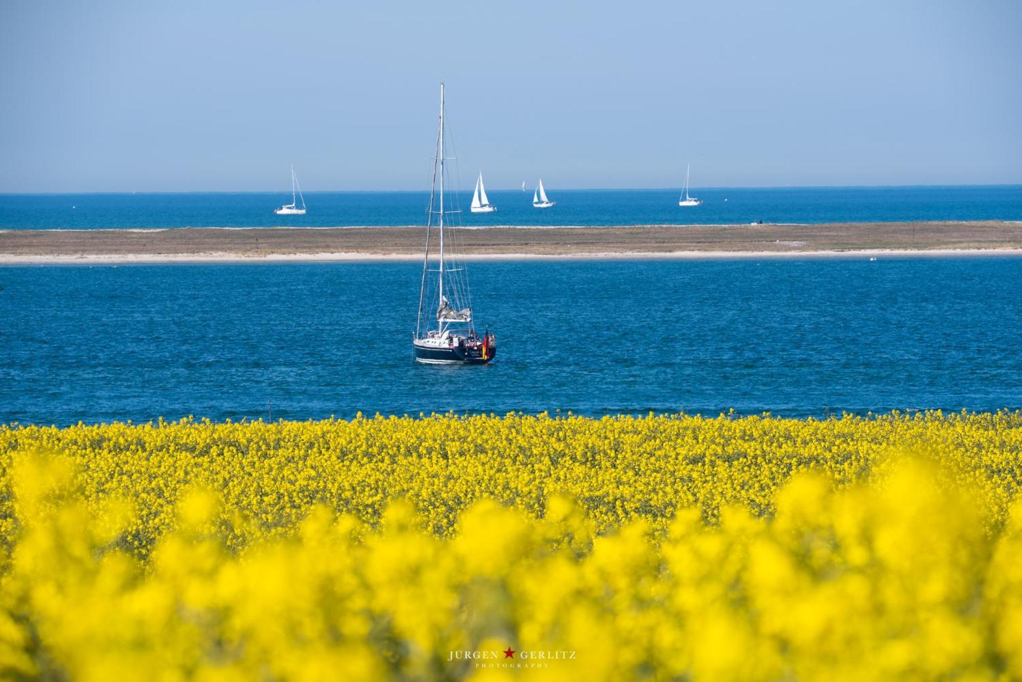 Urlaub Mit Ostseeblick, Schwimmbad, Sauna & Direkte Strandlage Kronsgaard Экстерьер фото